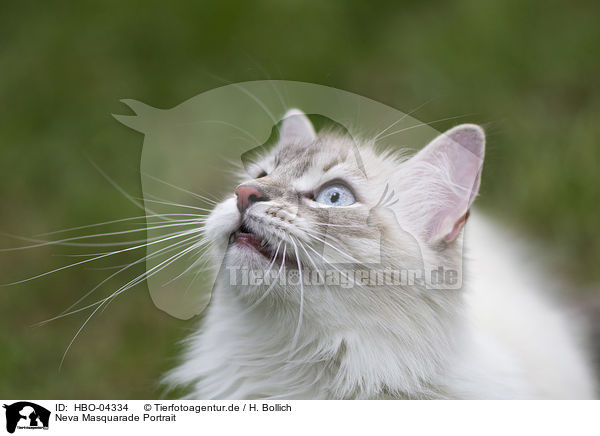 Neva Masquarade Portrait / Neva Masquarade Portrait / HBO-04334