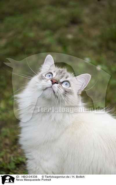 Neva Masquarade Portrait / Neva Masquarade Portrait / HBO-04336