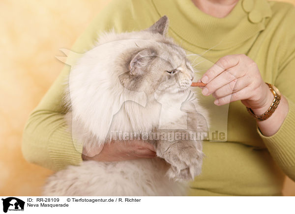 Neva Masquerade / Neva Masquerade / RR-28109