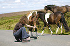 Frau mit Dartmoor Hill Ponies