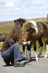 Frau mit Dartmoor Hill Ponies