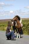 Frau mit Dartmoor Hill Ponies