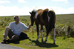 Mann mit Dartmoor Hill Pony