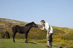 Mann mit Dartmoor Hill Pony
