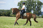 junge Frau reitet Deutsches Reitpony