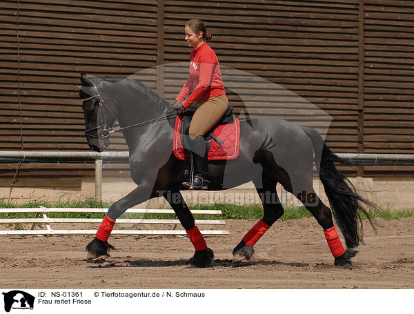 Frau reitet Friese / woman rides Frisian / NS-01361