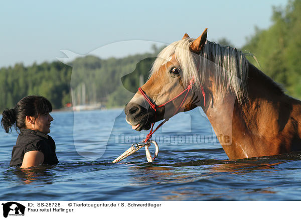 Frau reitet Haflinger / woman rides Haflinger horse / SS-28728