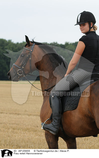 Frau reitet Hannoveraner / woman rides Hannoveraner / AP-05655