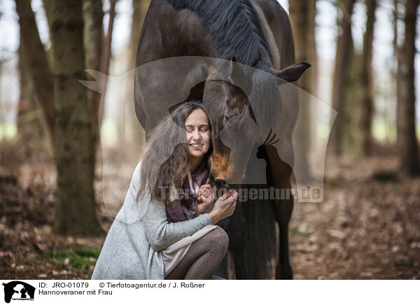 Hannoveraner mit Frau / Hanoverian Horse with woman / JRO-01079
