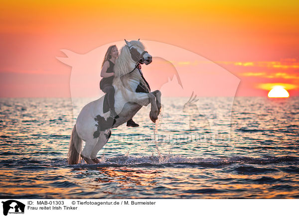 Frau reitet Irish Tinker / woman rides Irish Tinker / MAB-01303
