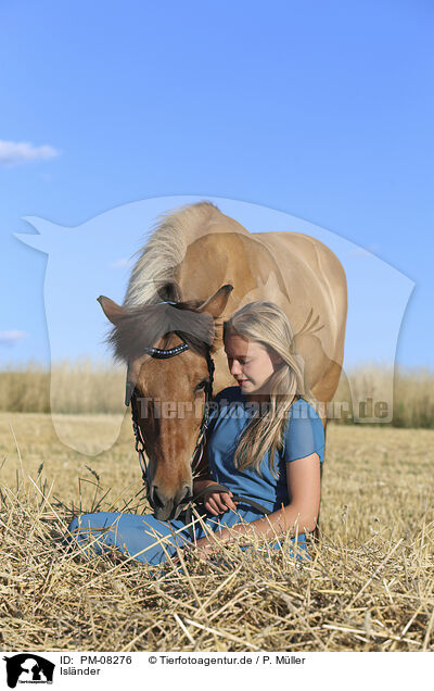 Isl�nder / Icelandic horse / PM-08276