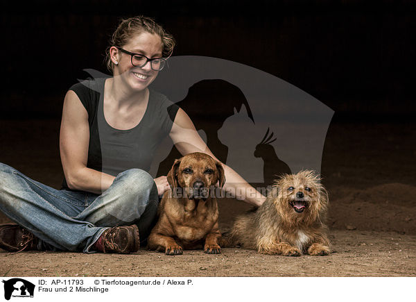 Frau und 2 Mischlinge / woman and 2 mongrels / AP-11793