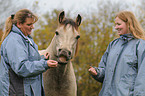 junge Frau mit Welsh Cob