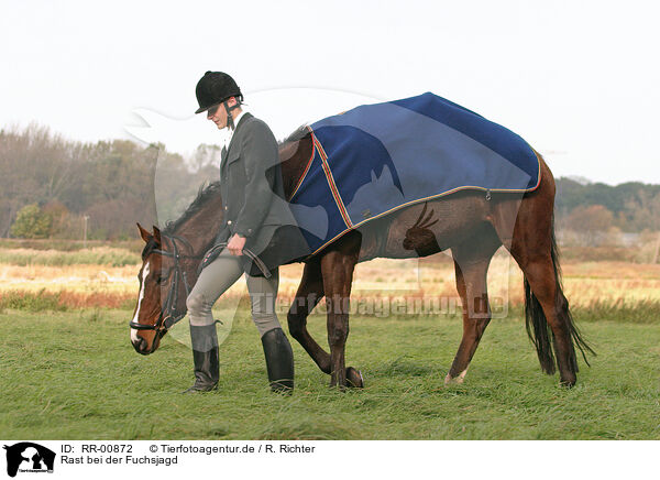 Rast bei der Fuchsjagd / break at fox hunting / RR-00872