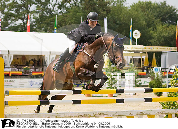REDAKTIONELL - Balve Optimum 2006 - Springpr�fung 04.08.2006 / EDITORIAL - Balve Optimum 2006 - Springpr�fung 04.08.2006 / TH-01002