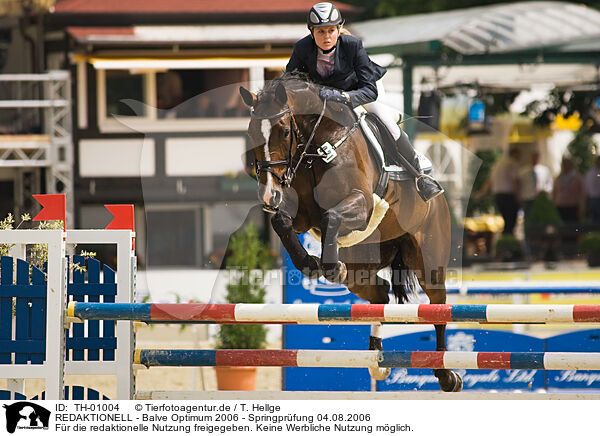 REDAKTIONELL - Balve Optimum 2006 - Springpr�fung 04.08.2006 / EDITORIAL - Balve Optimum 2006 - Springpr�fung 04.08.2006 / TH-01004