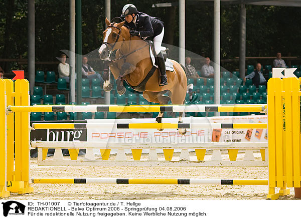 REDAKTIONELL - Balve Optimum 2006 - Springpr�fung 04.08.2006 / EDITORIAL - Balve Optimum 2006 - Springpr�fung 04.08.2006 / TH-01007