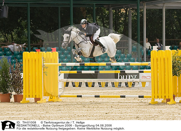 REDAKTIONELL - Balve Optimum 2006 - Springpr�fung 04.08.2006 / EDITORIAL - Balve Optimum 2006 - Springpr�fung 04.08.2006 / TH-01008