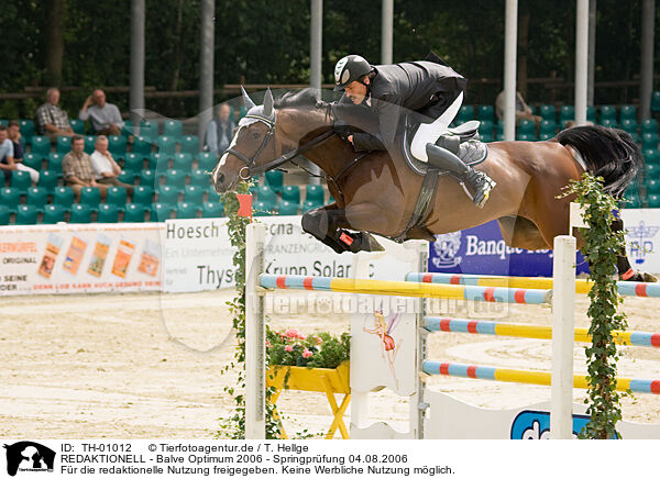 REDAKTIONELL - Balve Optimum 2006 - Springpr�fung 04.08.2006 / EDITORIAL - Balve Optimum 2006 - Springpr�fung 04.08.2006 / TH-01012