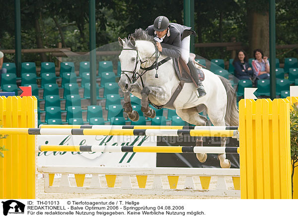 REDAKTIONELL - Balve Optimum 2006 - Springpr�fung 04.08.2006 / EDITORIAL - Balve Optimum 2006 - Springpr�fung 04.08.2006 / TH-01013