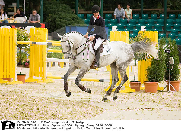 REDAKTIONELL - Balve Optimum 2006 - Springpr�fung 04.08.2006 / EDITORIAL - Balve Optimum 2006 - Springpr�fung 04.08.2006 / TH-01016