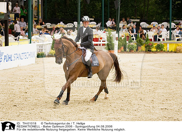 REDAKTIONELL - Balve Optimum 2006 - Springpr�fung 04.08.2006 / EDITORIAL - Balve Optimum 2006 - Springpr�fung 04.08.2006 / TH-01018