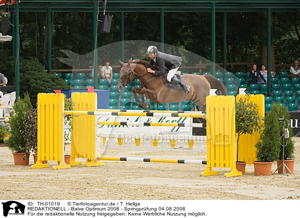 REDAKTIONELL - Balve Optimum 2006 - Springpr�fung 04.08.2006 / EDITORIAL - Balve Optimum 2006 - Springpr�fung 04.08.2006 / TH-01019