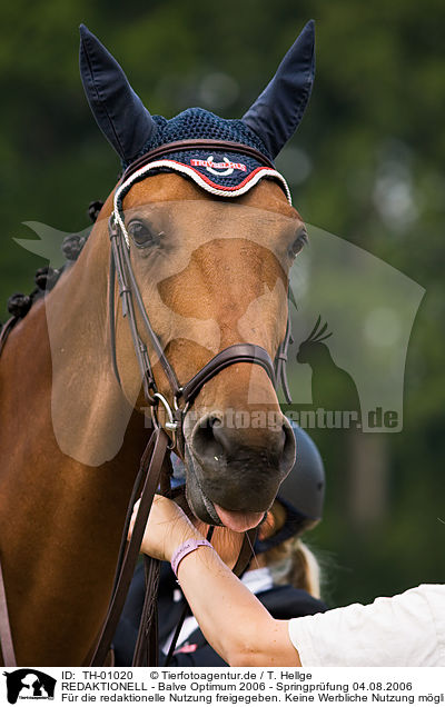 REDAKTIONELL - Balve Optimum 2006 - Springpr�fung 04.08.2006 / EDITORIAL - Balve Optimum 2006 - Springpr�fung 04.08.2006 / TH-01020