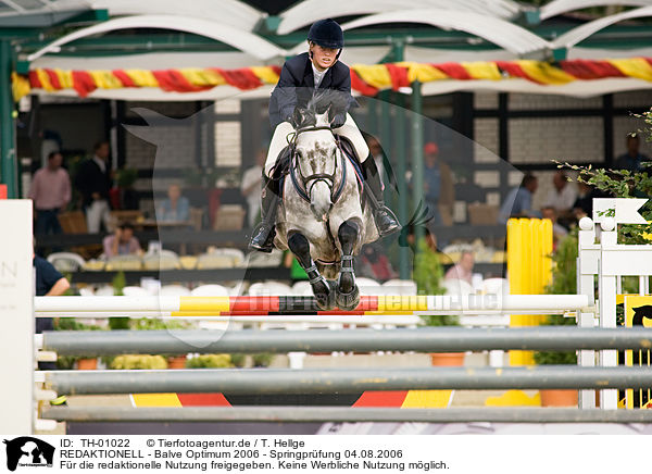 REDAKTIONELL - Balve Optimum 2006 - Springpr�fung 04.08.2006 / EDITORIAL - Balve Optimum 2006 - Springpr�fung 04.08.2006 / TH-01022