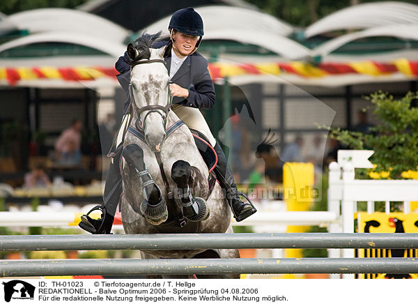 REDAKTIONELL - Balve Optimum 2006 - Springpr�fung 04.08.2006 / EDITORIAL - Balve Optimum 2006 - Springpr�fung 04.08.2006 / TH-01023