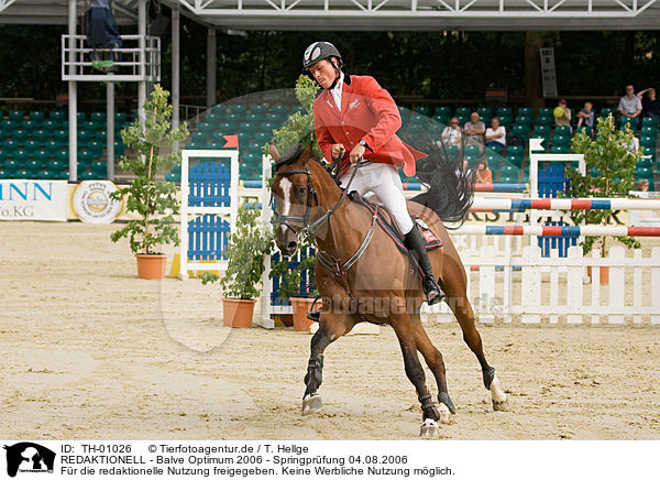 REDAKTIONELL - Balve Optimum 2006 - Springpr�fung 04.08.2006 / EDITORIAL - Balve Optimum 2006 - Springpr�fung 04.08.2006 / TH-01026