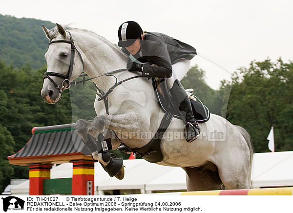 REDAKTIONELL - Balve Optimum 2006 - Springpr�fung 04.08.2006 / EDITORIAL - Balve Optimum 2006 - Springpr�fung 04.08.2006 / TH-01027