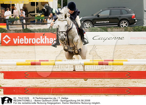 REDAKTIONELL - Balve Optimum 2006 - Springpr�fung 04.08.2006 / EDITORIAL - Balve Optimum 2006 - Springpr�fung 04.08.2006 / TH-01029