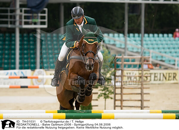 REDAKTIONELL - Balve Optimum 2006 - Springpr�fung 04.08.2006 / EDITORIAL - Balve Optimum 2006 - Springpr�fung 04.08.2006 / TH-01031