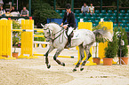 REDAKTIONELL - Balve Optimum 2006 - Springpr�fung 04.08.2006