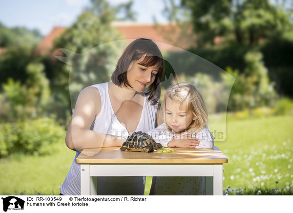 Menschen mit Griechische Landschildkrte / humans with Greek tortoise / RR-103549