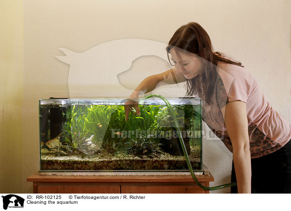 Aquarium reinigen / Cleaning the aquarium / RR-102125