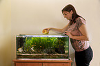 feeding fishes