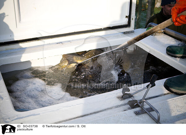 Fischzucht / pisciculture / SO-03738