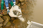 pisciculture