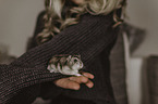 woman with dwarf Hamster