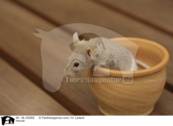 mouse / HL-02082