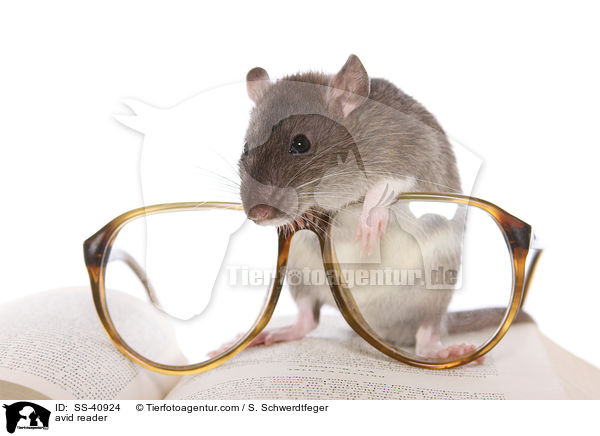 Leseratte / avid reader / SS-40924