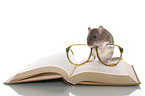 avid reader