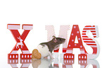 fancy rat