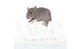 fancy rat on white background