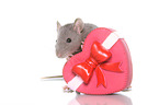 fancy rat on white background
