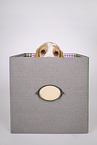 Beagle puppy