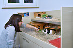 woman with Guinea Pig