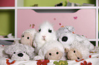 lion-headed rabbit